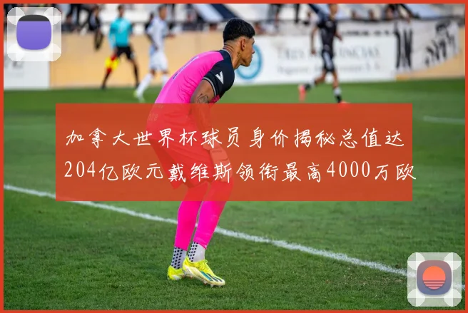 加拿大世界杯球员身价揭秘总值达204亿欧元戴维斯领衔最高4000万欧
