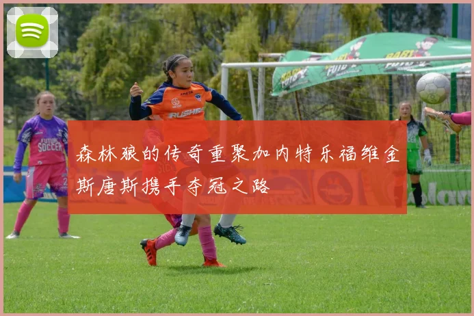 森林狼的传奇重聚加内特乐福维金斯唐斯携手夺冠之路
