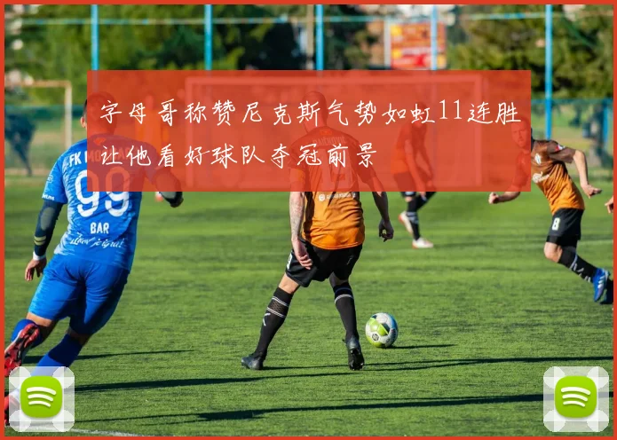 字母哥称赞尼克斯气势如虹11连胜让他看好球队夺冠前景